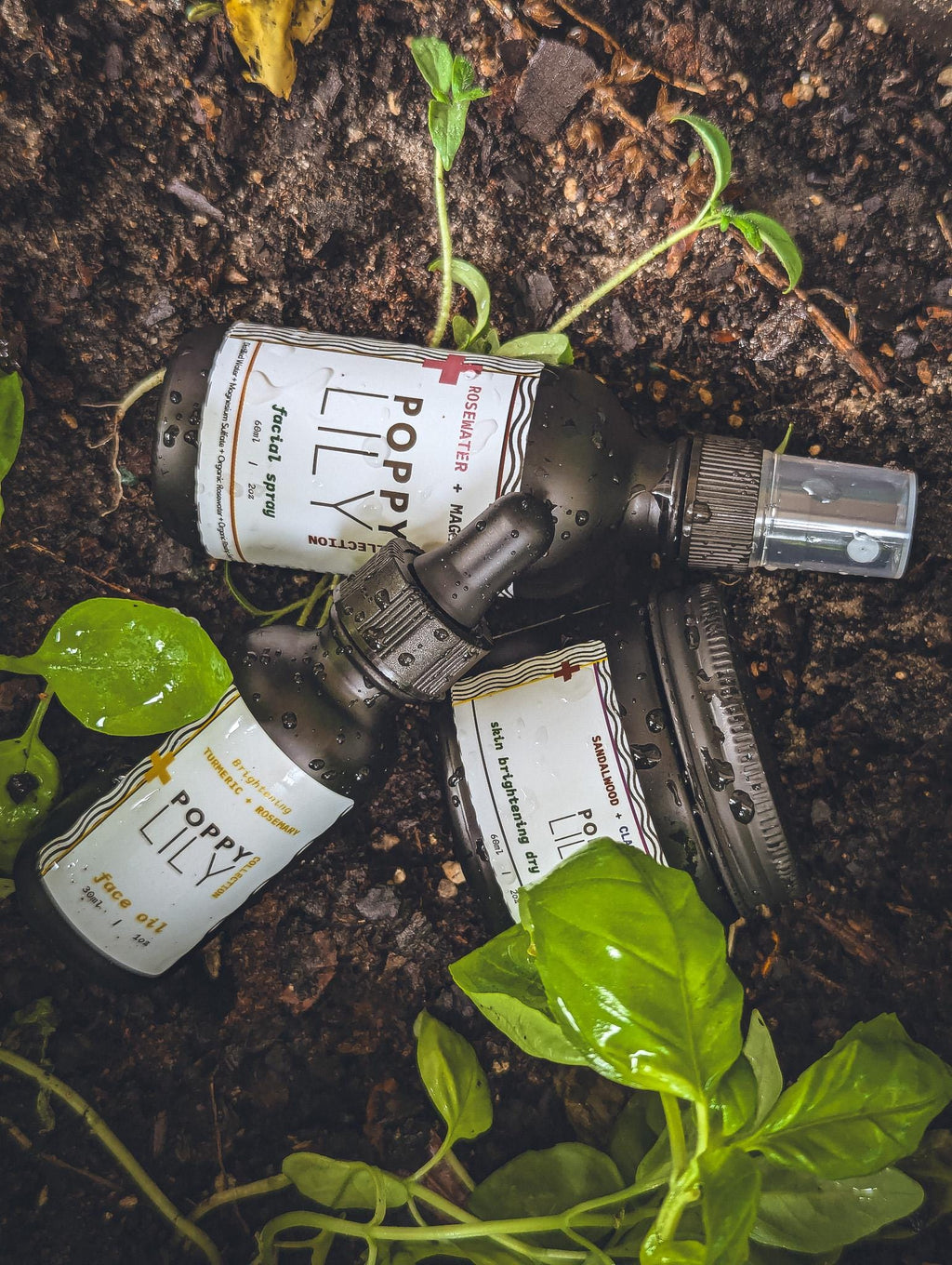 Clean Beauty Skincare Kit | The Organics Series