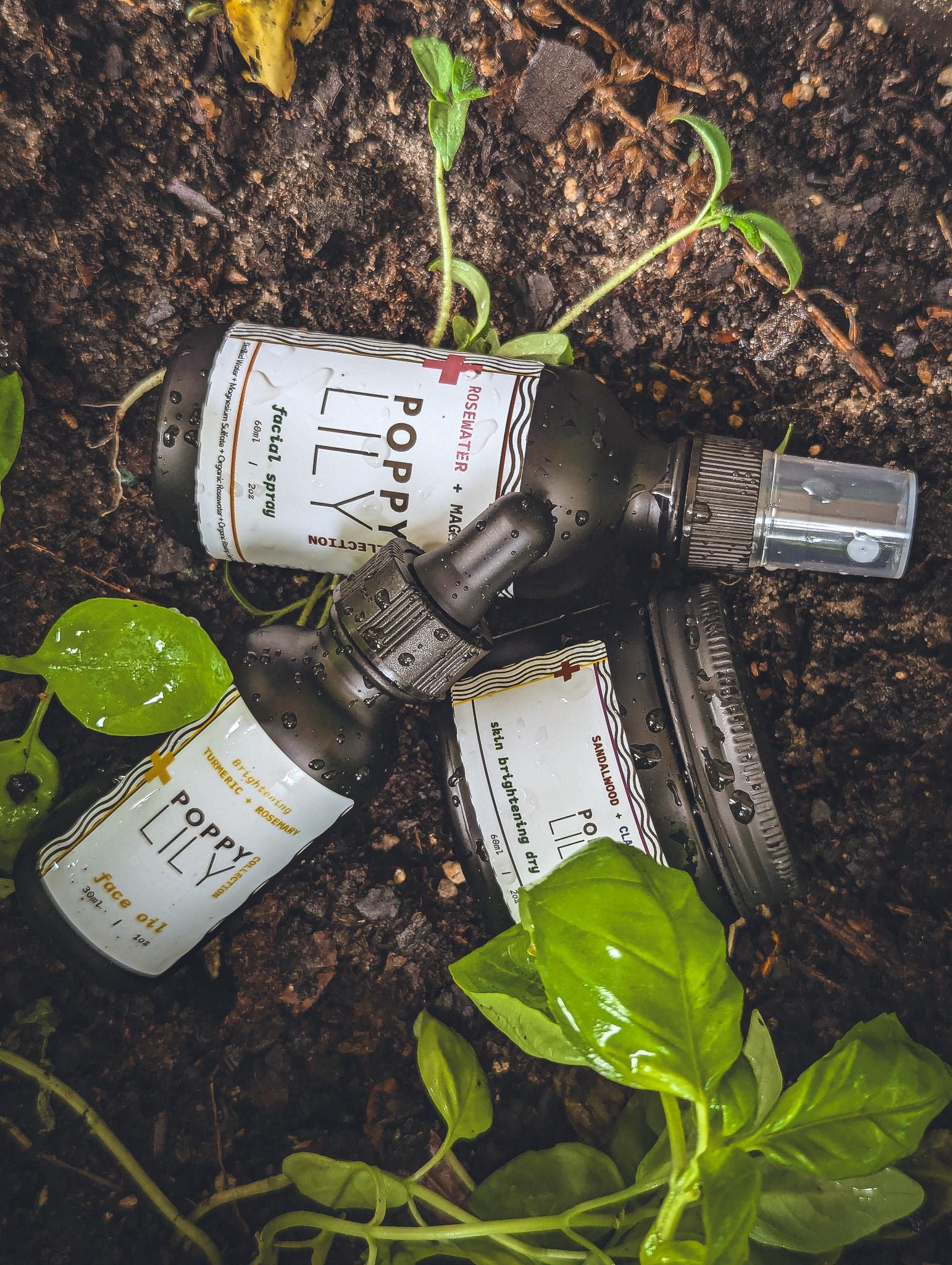 Clean Beauty Skincare Kit | The Organics Series