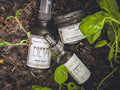 Clean Beauty Skincare Kit | The Organics Series