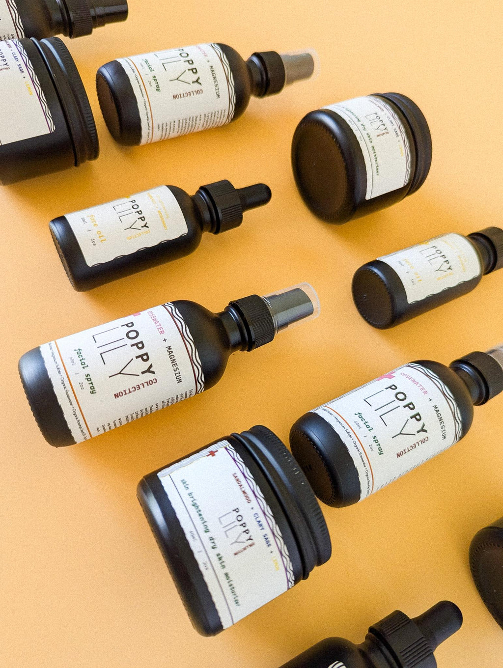 Clean Beauty Skincare Kit | The Organics Series