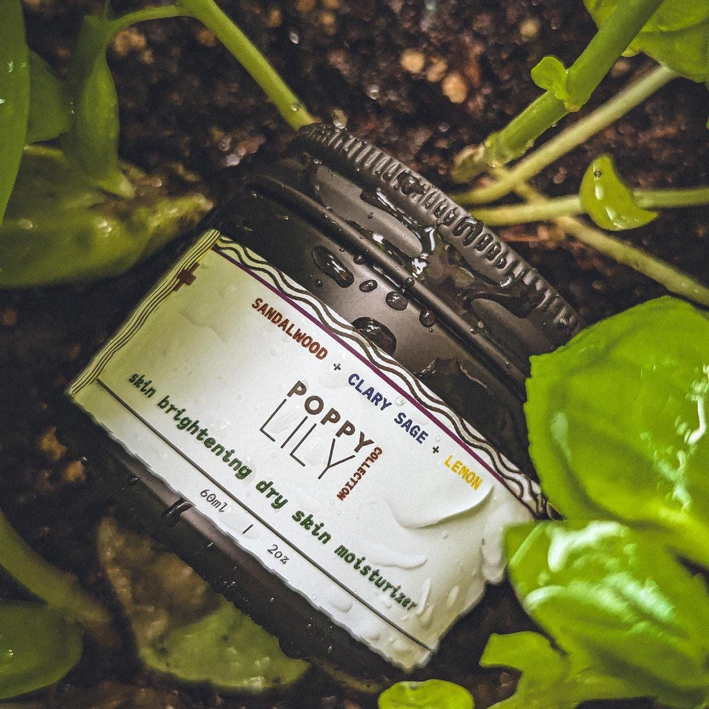 Formula D | The Lipid-Repair Complex