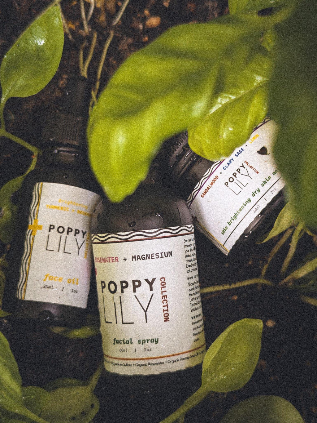 Formula D | The Lipid-Repair Complex